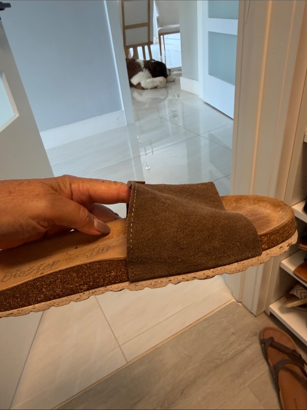 Boots Brown Suede Single-Band Slide